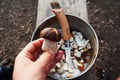 Mushroom Hunting