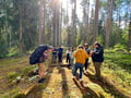 Mushroom Hunting