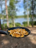 Mushroom Hunting