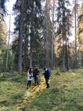 Mushroom Hunting