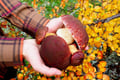 Mushroom Hunting