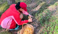 Mushroom Hunting