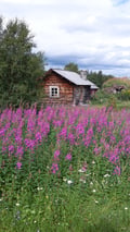 Sámi culture: Past and present in Utsjoki village