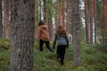 Embrace the Forest