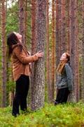 Embrace the Forest