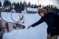 400M REINDEER SLED RIDE BY THE LAKE AT A TRADITIONAL FARM