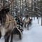 CHRISTMAS SAFARI TO MEET SANTA WITH SNOWMOBILE