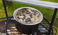 WILD BERRIES AND MUSHROOMS PICKING TOUR: Pick, Prepare, Savor