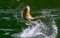 Rovaniemi: Summer & Autumn Fishing Tour in Arctic Nature & Barbeque - Small Group