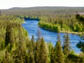 Rovaniemi: Summer & Autumn Fishing Tour in Arctic Nature & Barbeque - Small Group