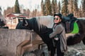Lapland Forest Horseback Ride - Rovaniemi