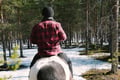Lapland Forest Horseback Ride - Rovaniemi