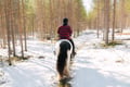 Lapland Forest Horseback Ride - Rovaniemi