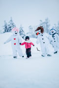 Entrance ticket to Snowman World