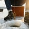 Catch & Cook: Arctic Ice Fishing Experience