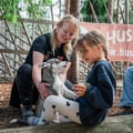 Husky Park visit, guided tour, Siberian Husky, Rovaniemi Lapland