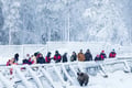 PRIVATE SERVICE Ranua Zoo VIP pass****