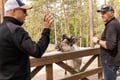 PRIVATE SERVICE Ranua Zoo VIP pass****