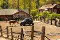PRIVATE SERVICE Ranua Zoo VIP pass****