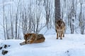 PRIVATE SERVICE Ranua Zoo VIP pass****
