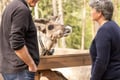 PRIVATE SERVICE Ranua Zoo VIP pass****