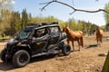 PRIVATE SERVICE Ranua Zoo VIP pass****
