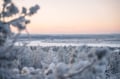 DISCOVER ROVANIEMI