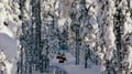 Snowmobile Safari to a Reindeer Farm
