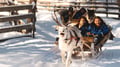 Snowmobile Safari to a Reindeer Farm