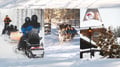 Snowmobile Safari to a Reindeer Farm