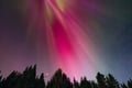Rovaniemi: Northern Lights Pro Guaranteed - Unlimited Distance