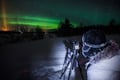Rovaniemi Northern Lights Photography Small-Group Tour