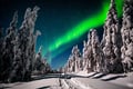 Rovaniemi Northern Lights Photography Small-Group Tour