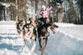 Self-Drive Husky Ride & Reindeer Farm Visit Combo Tour