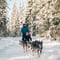 Self-Drive Husky Ride & Reindeer Farm Visit Combo Tour