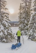 Snowshoe Trek in Pallastunturi (4-Day)