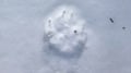 Snowshoe Trek in Pallastunturi (4-Day)