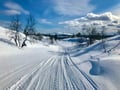 Snowshoe Trek in Pallastunturi (4-Day)