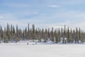 Snowshoe Trek in Pallastunturi (4-Day)