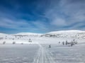 Snowshoe Trek in Pallastunturi (4-Day)