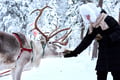 Arctic Reindeer Sleigh Ride (0.6km), Levi