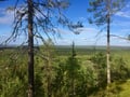 Magic of the Forest and Log Sauna, 4 hours (Private Tour)