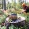 Magic of the Forest and Log Sauna, 4 hours (Private Tour)