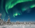 Watching the Northern Lights from a campfire on a reindeer pasture in Rovaniemi
