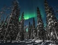 Watching the Northern Lights from a campfire on a reindeer pasture in Rovaniemi
