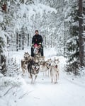 Husky Park Visit with Jenga (500 m) Husky ride