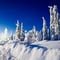 Hire A Guide in Lapland
