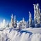 Hire A Guide in Lapland