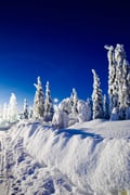 Hire A Guide in Lapland