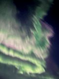 Hire A Guide in Lapland